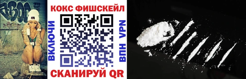 COCAIN Fish Scale  купить   Нерехта 