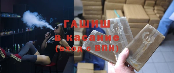 индика Абаза