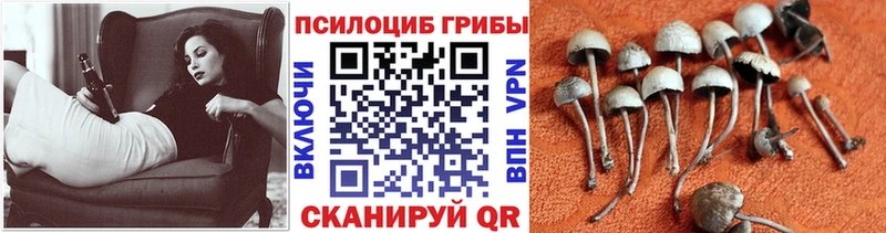 Псилоцибиновые грибы мухоморы  Нерехта 